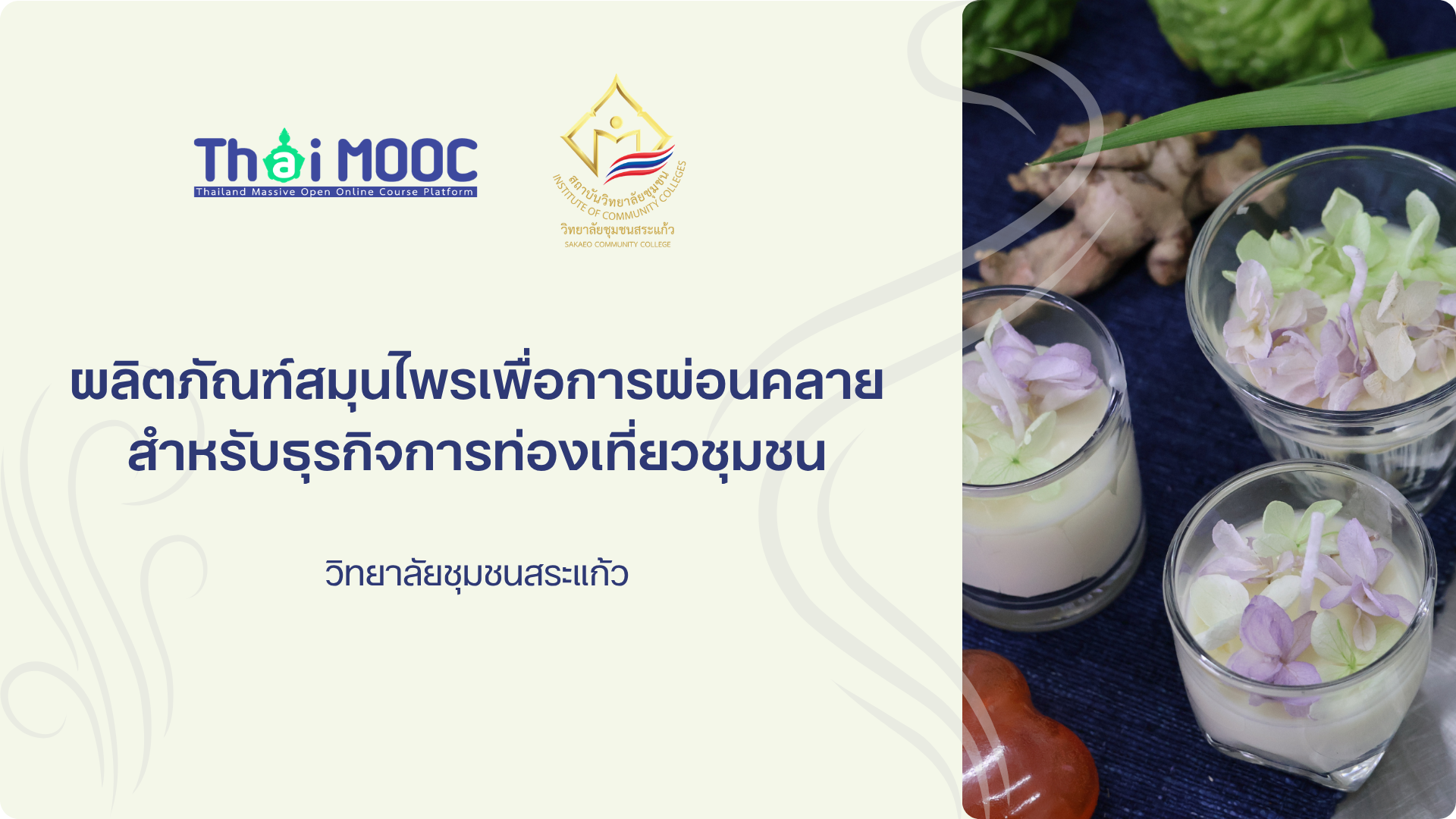ผลิตภัณฑ์สมุนไพรเพื่อการผ่อนคลายสำหรับธุรกิจการท่องเที่ยวชุมชน | Herbal relaxation products for community tourism businesses 00916